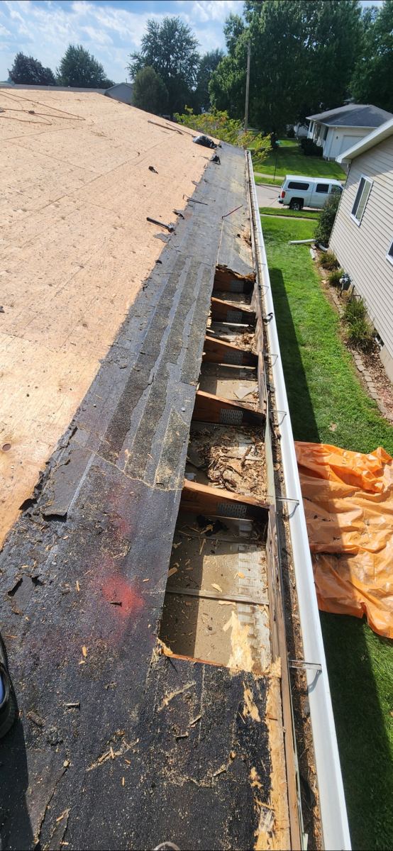 rotted sheeting and facia board needing replaced